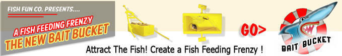 Create a Fish Feeding Frenzy, Then Catch the Fish!