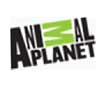 Watch our Fish Fun Co presentation on the Animal Planet Channel