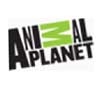 Watch our Fish Fun Co presentation on the Animal Planet Channel