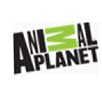 Watch our Fish Fun Co presentation on the Animal Planet Channel