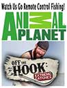 Watch our Fish Fun Co presentation on the Animal Planet Channel